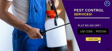 Get Rs 200 Off for Pest Control 1service